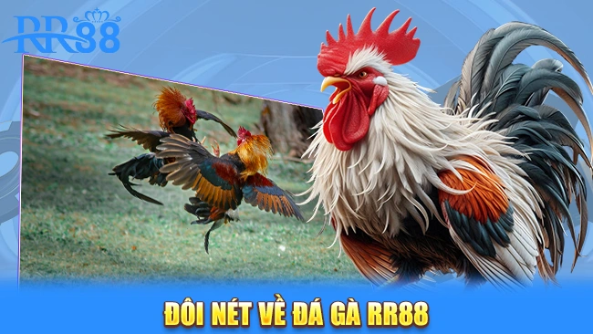 Đôi nét về kho game đá gà RR88